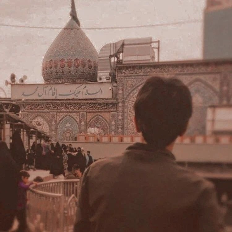 Homepage Safinah Directory - safinahdirectory.com